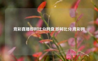 竞彩直播即时比分网盘,即时比分,竞彩网