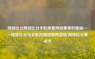 球探比分网球比分手机探索网球赛事的奥秘——球探比分与手机应用球探网官网 网球比分寒衣节