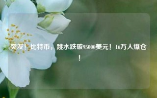 突发！比特币，跳水跌破95000美元！16万人爆仓！