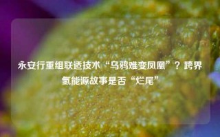 永安行重组联适技术“乌鸦难变凤凰”？跨界氢能源故事是否“烂尾”