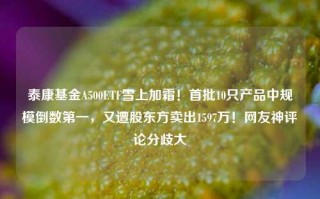 泰康基金A500ETF雪上加霜！首批10只产品中规模倒数第一，又遭股东方卖出1597万！网友神评论分歧大