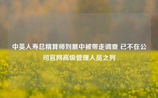 中英人寿总精算师刘展中被带走调查 已不在公司官网高级管理人员之列