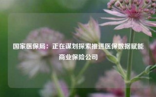 国家医保局：正在谋划探索推进医保数据赋能商业保险公司