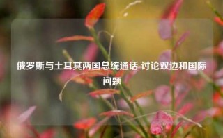 俄罗斯与土耳其两国总统通话 讨论双边和国际问题