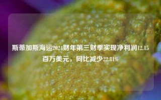 斯蒂加斯海运2024财年第三财季实现净利润12.15百万美元，同比减少22.81%