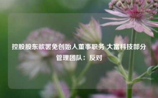 控股股东欲罢免创始人董事职务 大富科技部分管理团队：反对