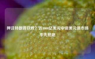 押注特朗普获胜？近8000亿美元中资美元债市场率先抢跑