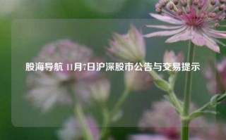 股海导航 11月7日沪深股市公告与交易提示