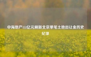 中海地产153亿元刷新北京单笔土地出让金历史纪录