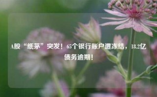 A股“纸茅”突发！65个银行账户遭冻结，18.2亿债务逾期！