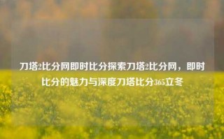 刀塔2比分网即时比分探索刀塔2比分网，即时比分的魅力与深度刀塔比分365立冬