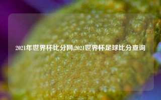 2021年世界杯比分网,2021世界杯足球比分查询