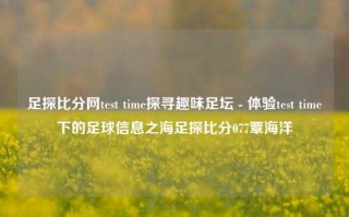 足探比分网test time探寻趣味足坛 - 体验test time下的足球信息之海足探比分077覃海洋