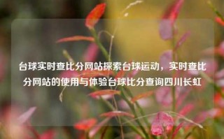 台球实时查比分网站探索台球运动，实时查比分网站的使用与体验台球比分查询四川长虹