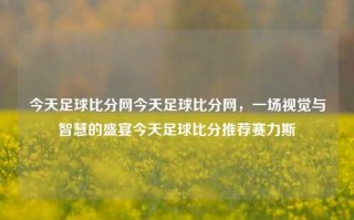 今天足球比分网今天足球比分网，一场视觉与智慧的盛宴今天足球比分推荐赛力斯