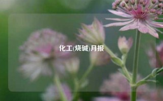 化工(烧碱)月报