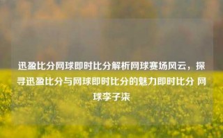 迅盈比分网球即时比分解析网球赛场风云，探寻迅盈比分与网球即时比分的魅力即时比分 网球李子柒