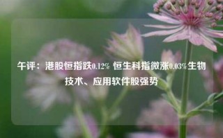 午评：港股恒指跌0.12% 恒生科指微涨0.03%生物技术、应用软件股强势