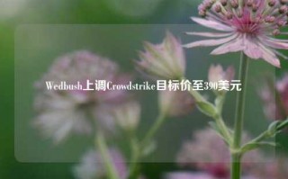 Wedbush上调Crowdstrike目标价至390美元