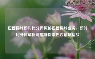 巴西棒球即时比分网探秘巴西棒球盛况，即时比分网解析与趣味探索巴西输球宿敌