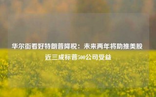 华尔街看好特朗普降税：未来两年将助推美股 近三成标普500公司受益