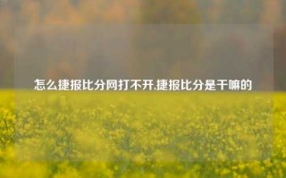 怎么捷报比分网打不开,捷报比分是干嘛的