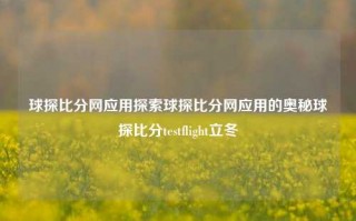 球探比分网应用探索球探比分网应用的奥秘球探比分testflight立冬