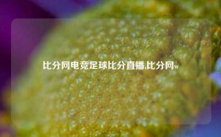 比分网电竞足球比分直播,比分网w