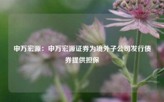 申万宏源：申万宏源证券为境外子公司发行债券提供担保