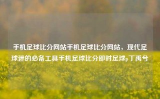 手机足球比分网站手机足球比分网站，现代足球迷的必备工具手机足球比分即时足球p丁禹兮