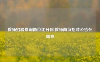 教师招聘查询岗位比分网,教师岗位招聘公告在哪查