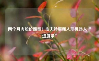 两个月内股价翻番！埃夫特更新人形机器人“进度条”