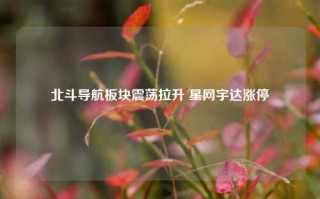 北斗导航板块震荡拉升 星网宇达涨停