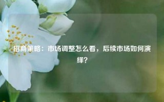 招商策略：市场调整怎么看，后续市场如何演绎？