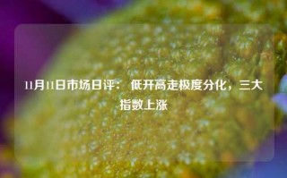 11月11日市场日评： 低开高走极度分化，三大指数上涨