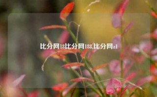 比分网18比分网188,比分网z1