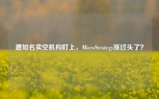 遭知名卖空机构盯上，MicroStrategy涨过头了？