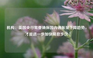 机构：英国央行需要确保国内通胀呈下降趋势，才能进一步加快降息步伐