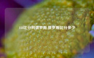 188比分网俄罗斯,俄罗斯比分多少