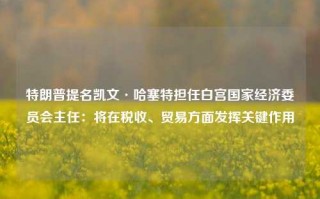 特朗普提名凯文·哈塞特担任白宫国家经济委员会主任：将在税收、贸易方面发挥关键作用