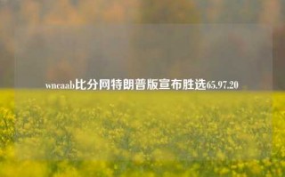 wncaab比分网特朗普版宣布胜选65.97.20