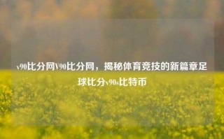 v90比分网V90比分网，揭秘体育竞技的新篇章足球比分v90s比特币