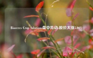 Bioceres Crop Solutions盘中异动 股价大涨5.06%