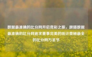 数据最准确的比分网开启竞彩之旅，跟随数据最准确的比分网追求赛事完美的统计奥秘最全的比分网万圣节