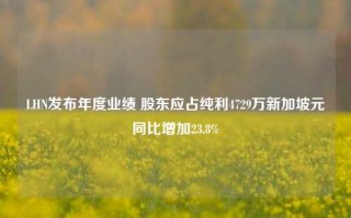 LHN发布年度业绩 股东应占纯利4729万新加坡元同比增加23.8%