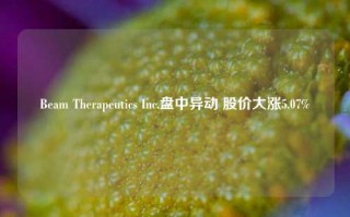 Beam Therapeutics Inc.盘中异动 股价大涨5.07%