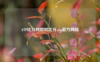 ATP比分网即时比分,atp官方网站