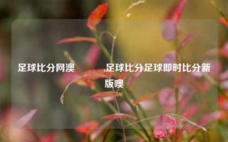 足球比分网澳門國際,足球比分足球即时比分新版噢