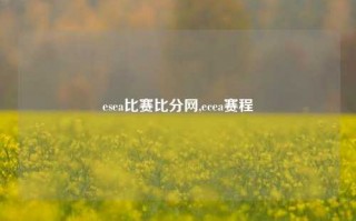 esea比赛比分网,ecea赛程