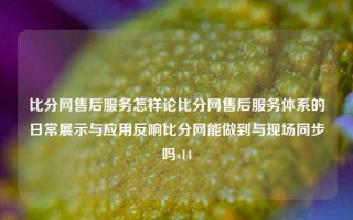 比分网售后服务怎样论比分网售后服务体系的日常展示与应用反响比分网能做到与现场同步吗s14